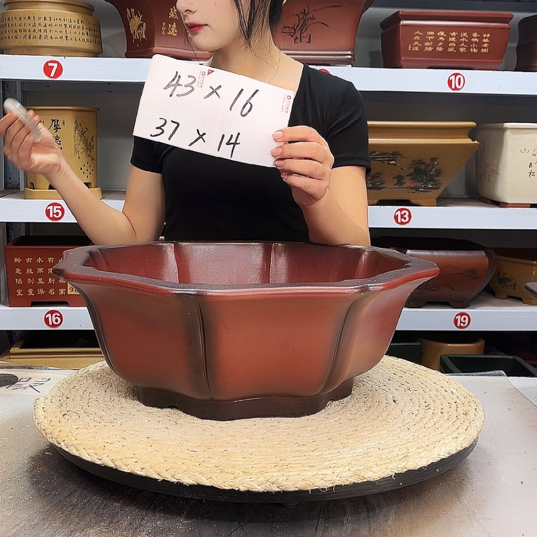 紫砂花盆紫砂花盆