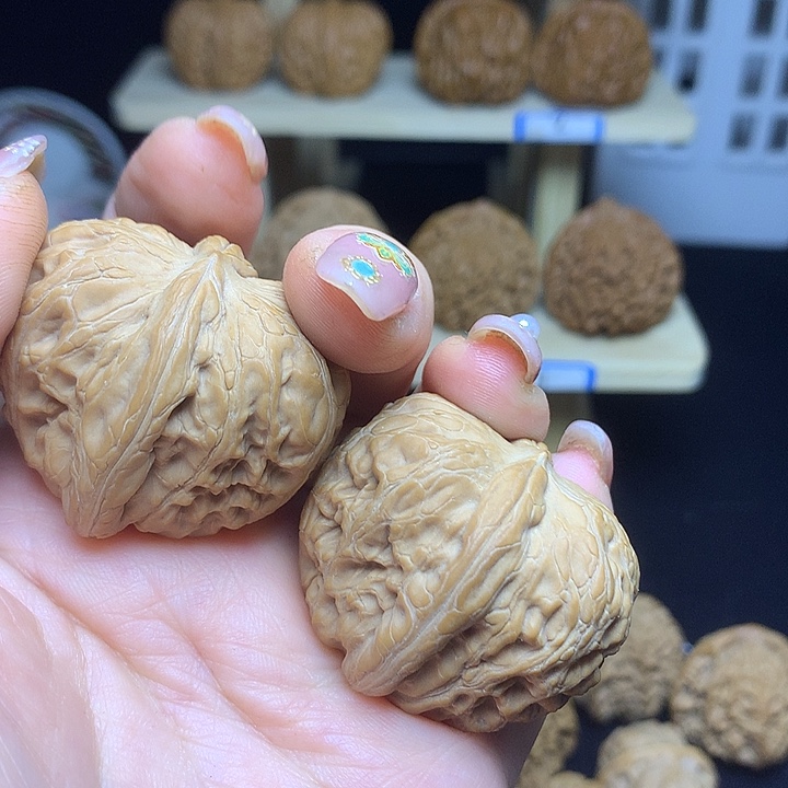 元宝1111111111111111111