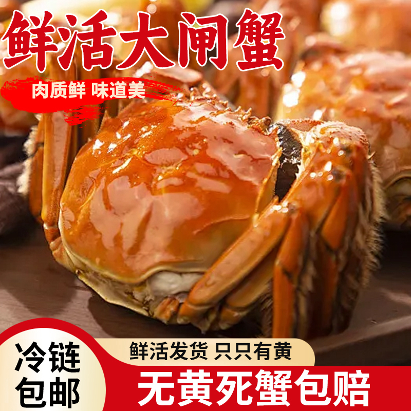 【活蟹】【3斤装】兴化大闸蟹全母蟹2.8-3.1两起6-8只装顺丰包邮现捞