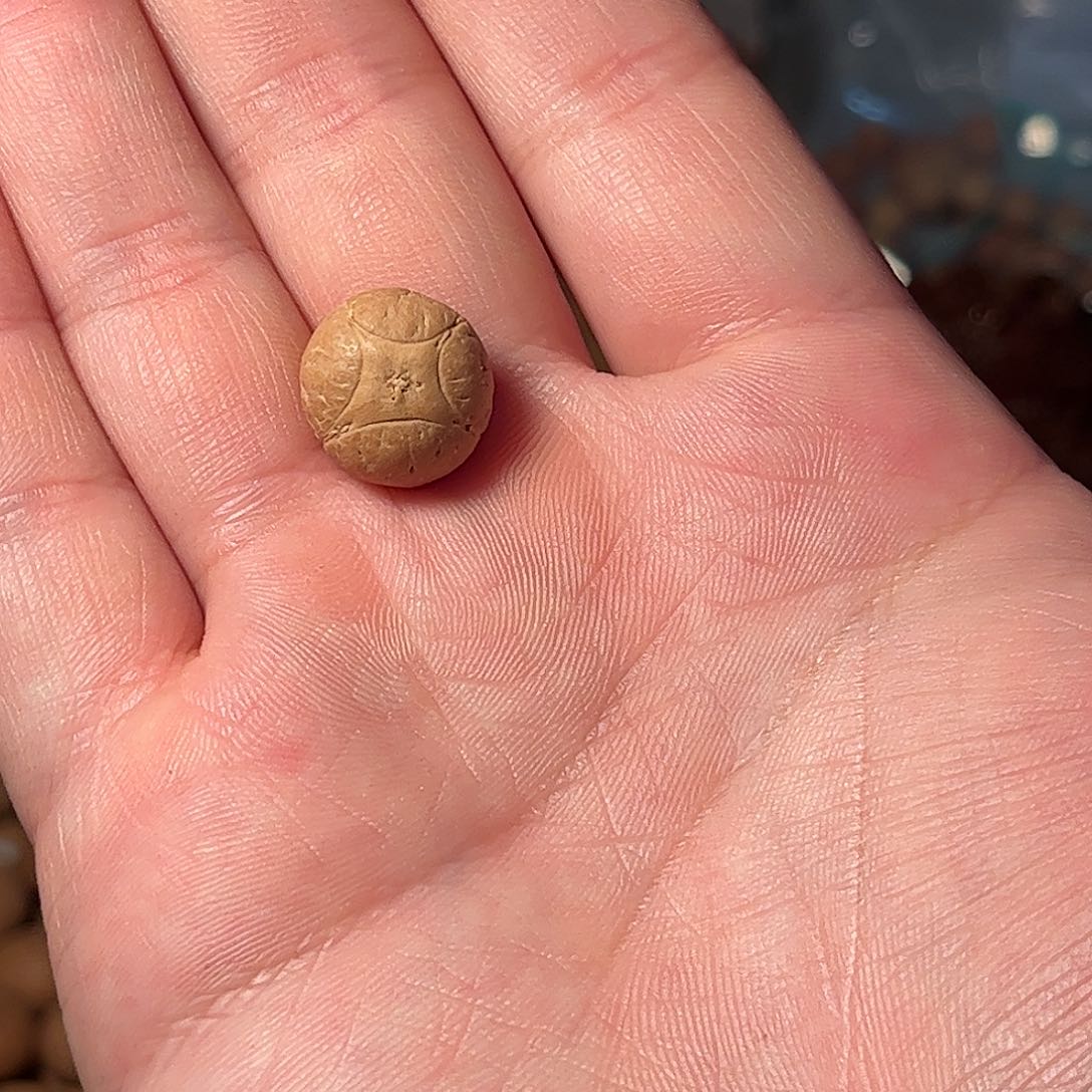 桃核吊坠15麒麟眼，开孔不退，偏远不包