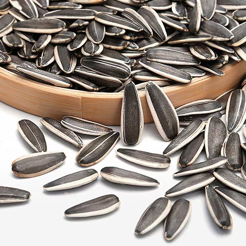 新货原味大颗粒葵花籽瓜子酥脆追剧炒货零食