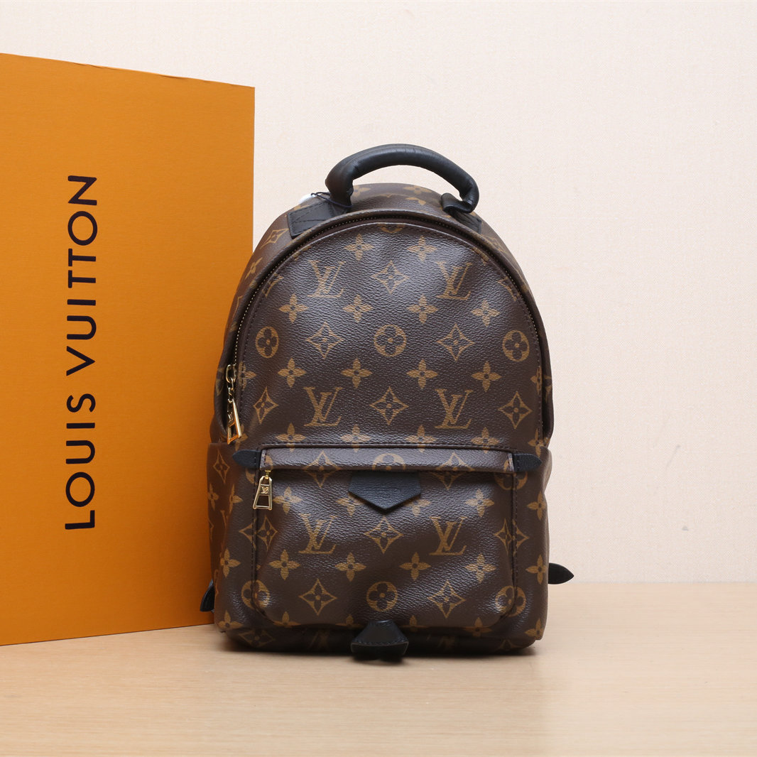 95新 LouisVuitton/路易威登 【双攀】小书包 小号 22  2016 298290
