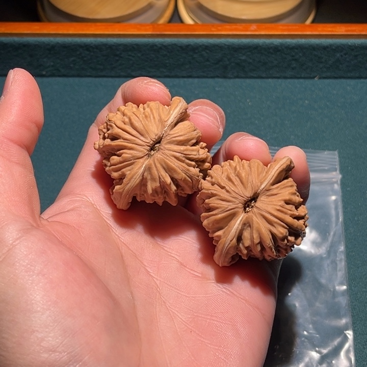 文玩核桃把件k****41楼子毕业对