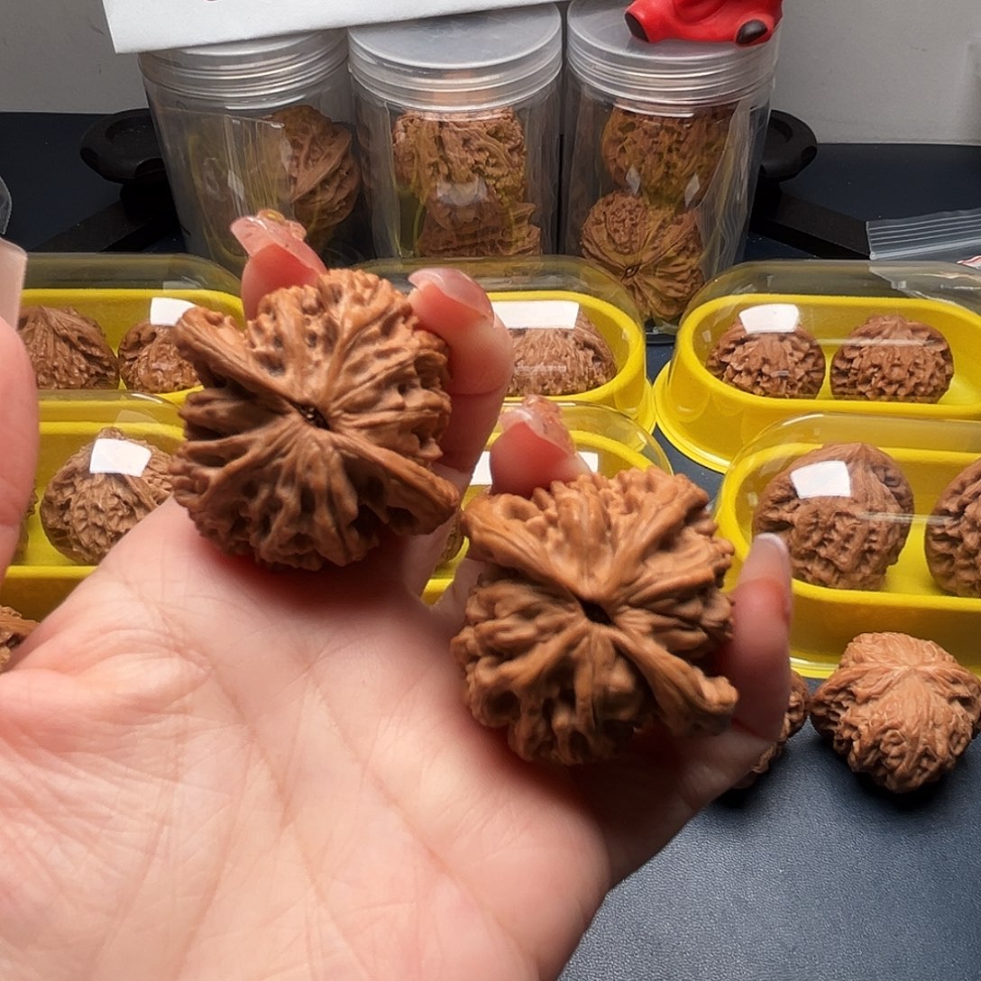 核桃41尺寸麦穗虎头