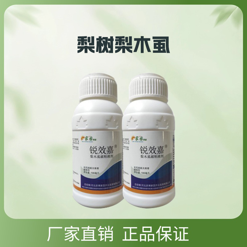 梨树果园用梨木 虱 成虫幼虫若虫破粘液梨树用