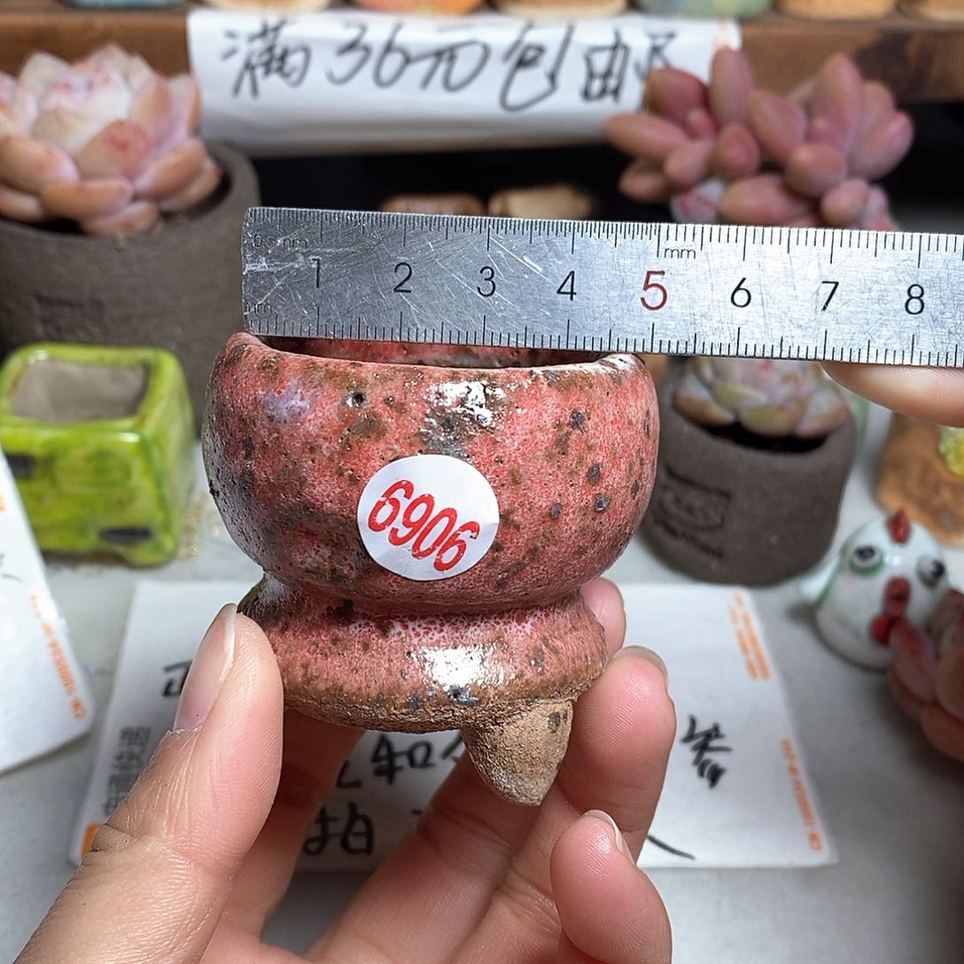 红陶拍5送一个小