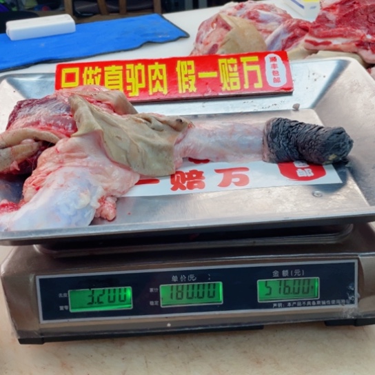 【闪购商品】冷冻保存30天包装河北省