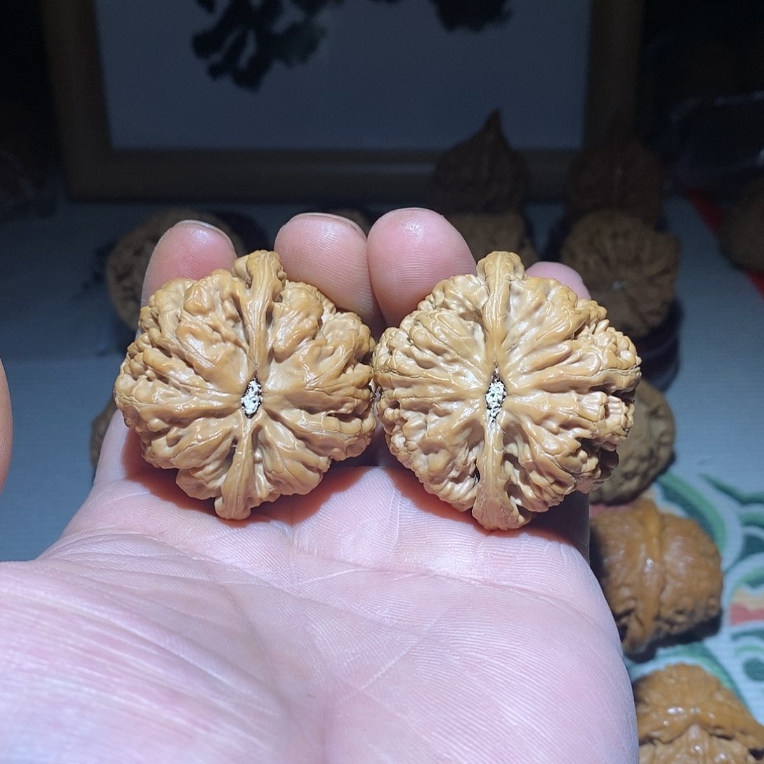 文玩核桃把件44尺平谷大粗筋