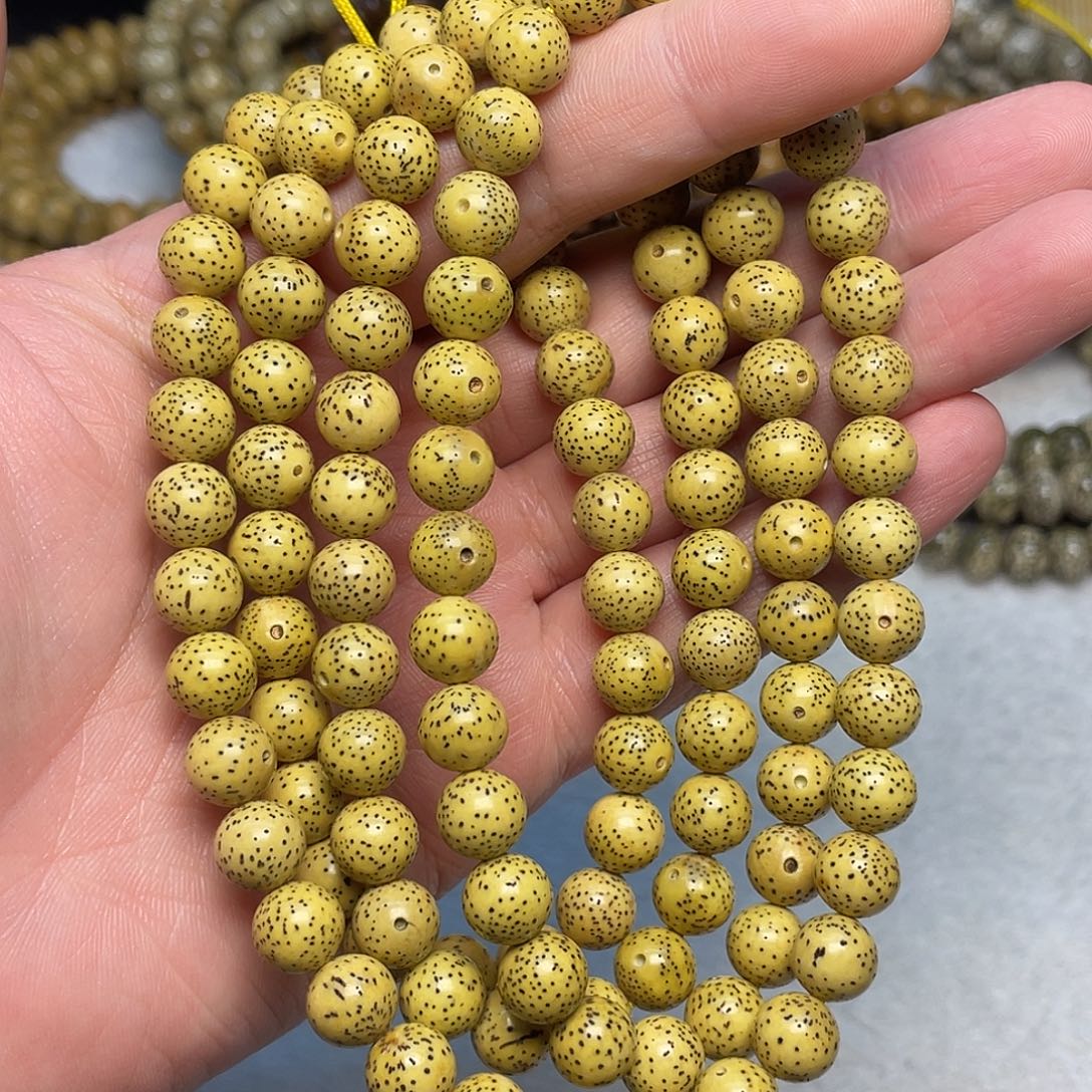 星月菩提吊坠10尺寸，鸡油黄，带备籽