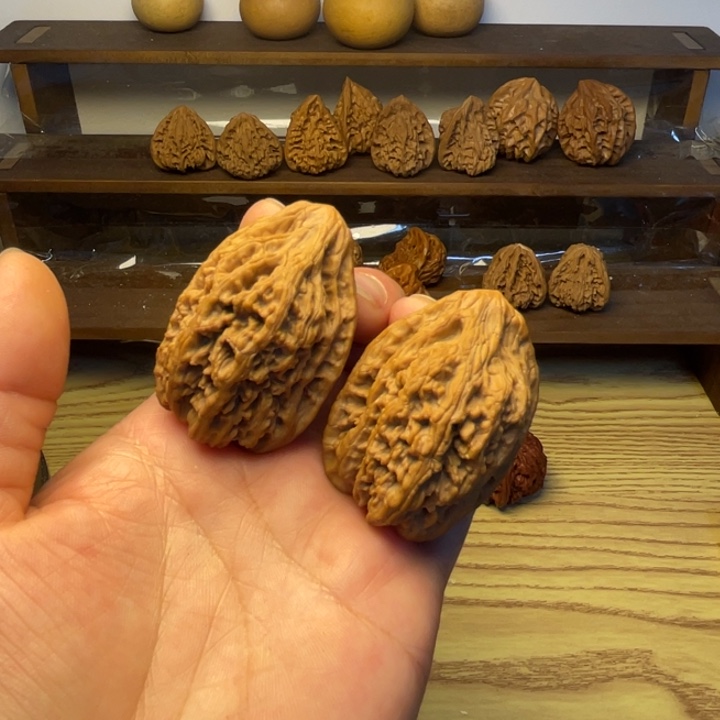 核桃带鱼修36.35.49