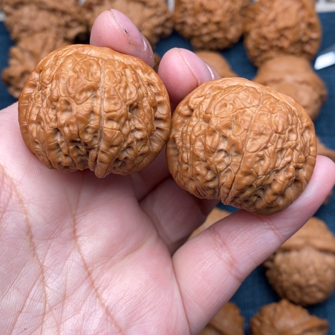 文玩核桃把件37精品血麒麟全品