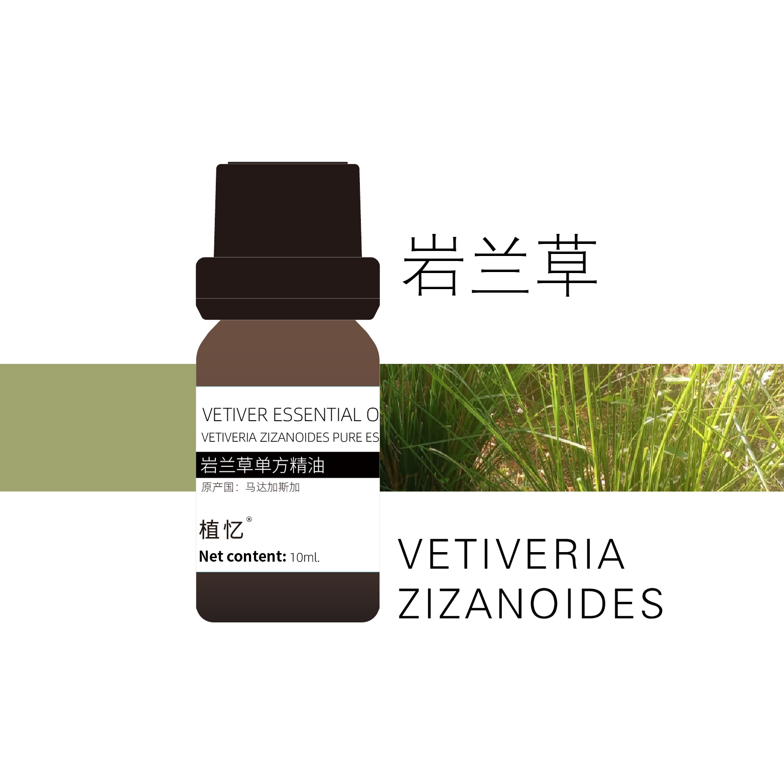 植忆岩兰草精油马达加斯加 香薰植物单方精油