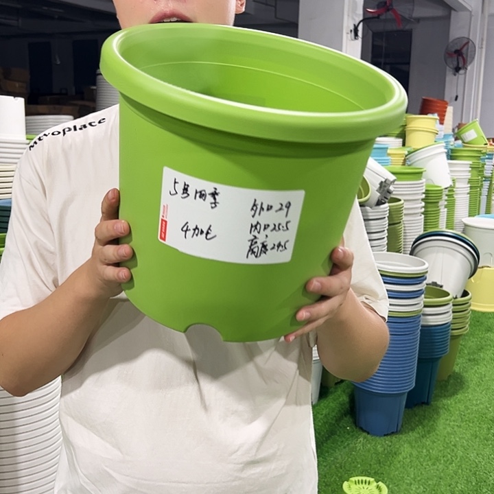 特价5号口29高24.5果绿色5只无托