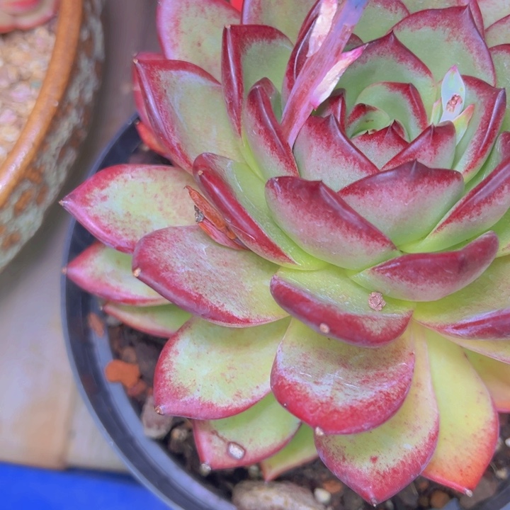 健***安859//////////////=/////////