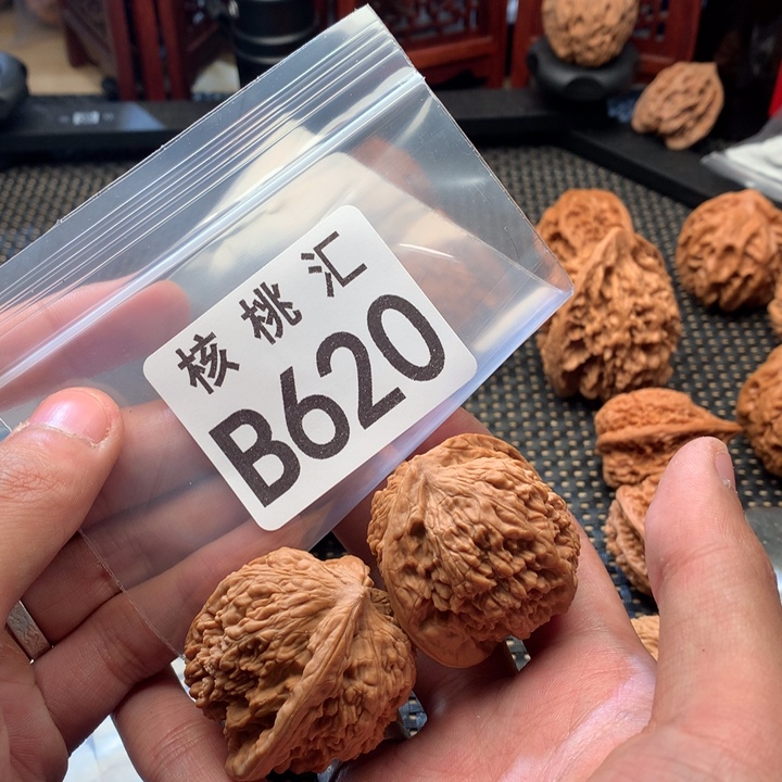 吊坠文玩核桃蚂蚁王