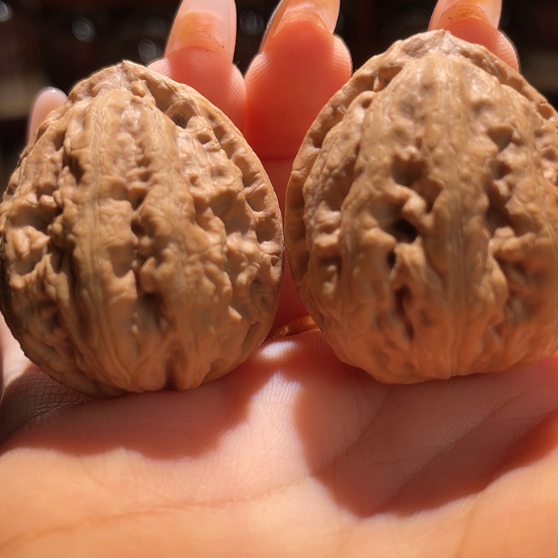 文玩核桃吊坠粗筋龙珠