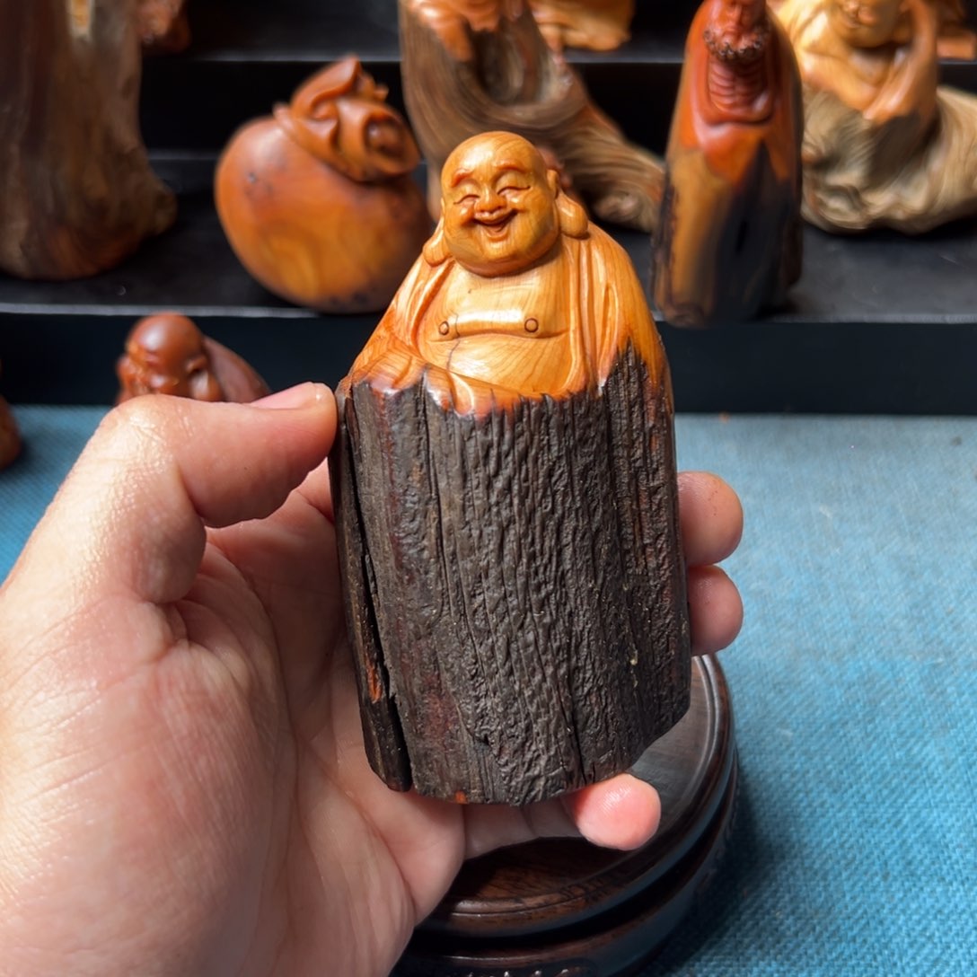柏木（崖柏）太行崖柏