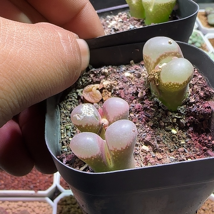 路***哈哈哈108哈哈哈哈哈哈哈哈