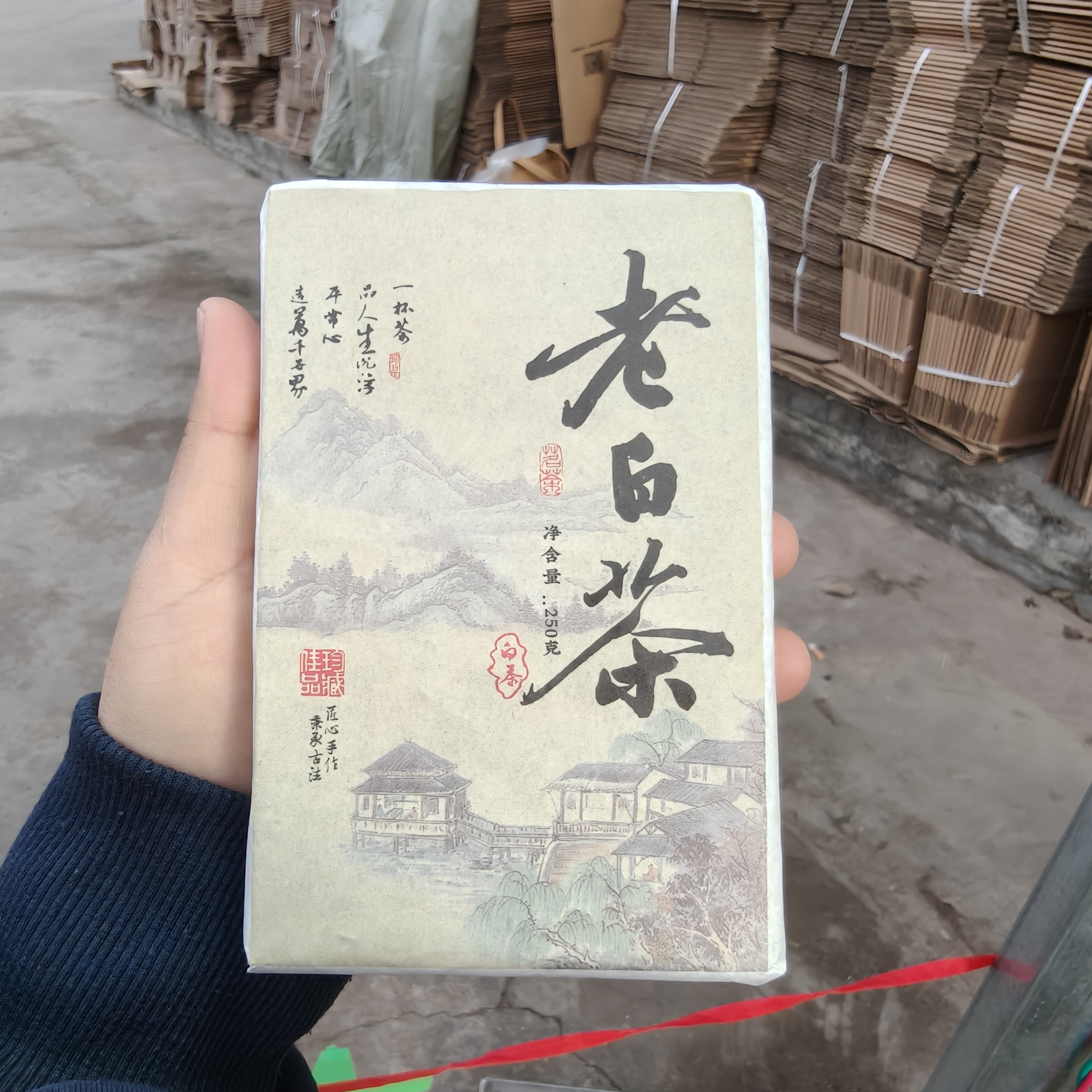 2023年老白茶春尾 1月22【3号】