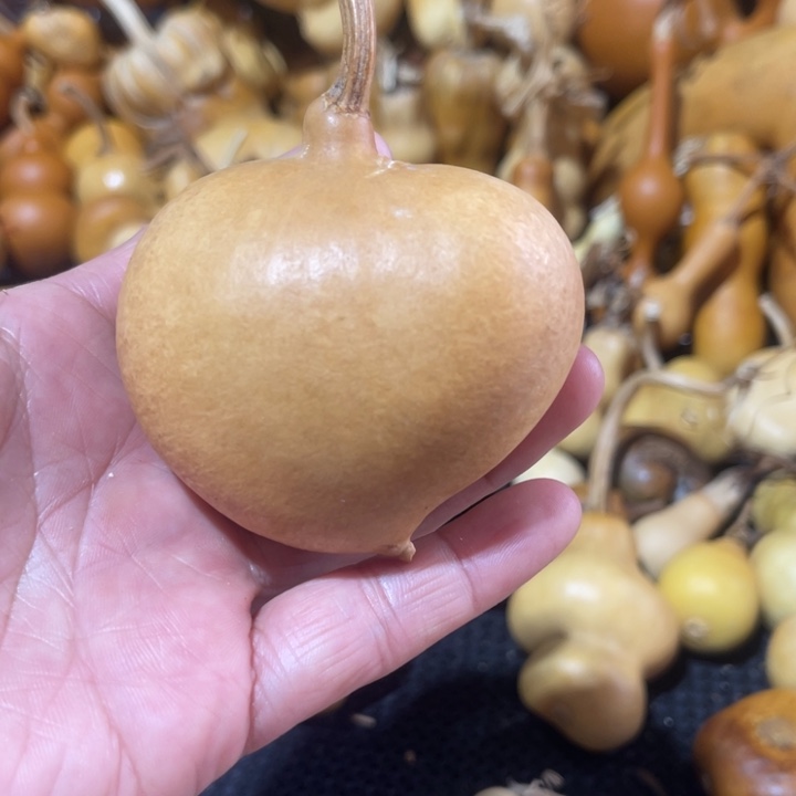 幸***猪葫芦哈哈哈哈哈哈哈哈