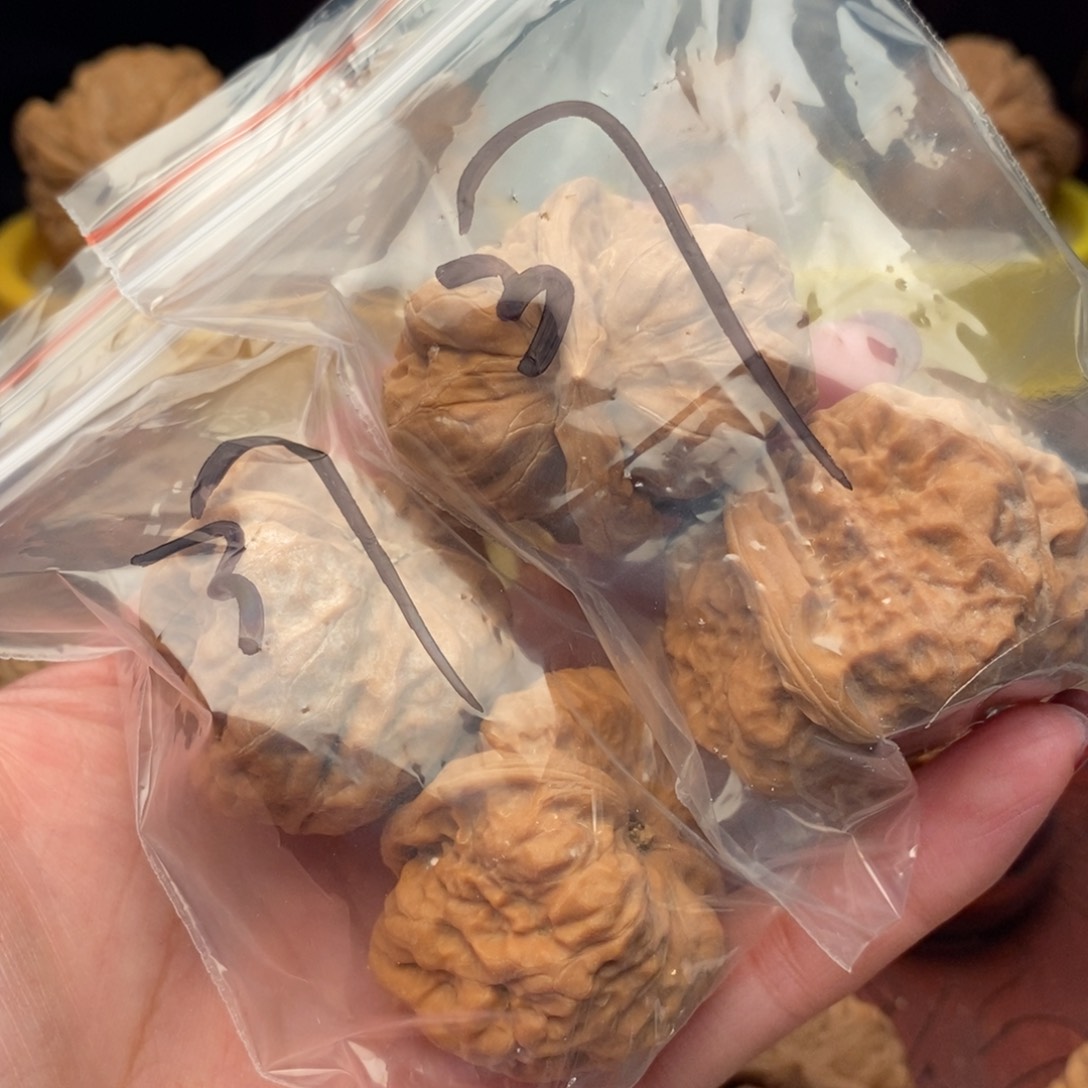 文玩核桃把件蛤码头37