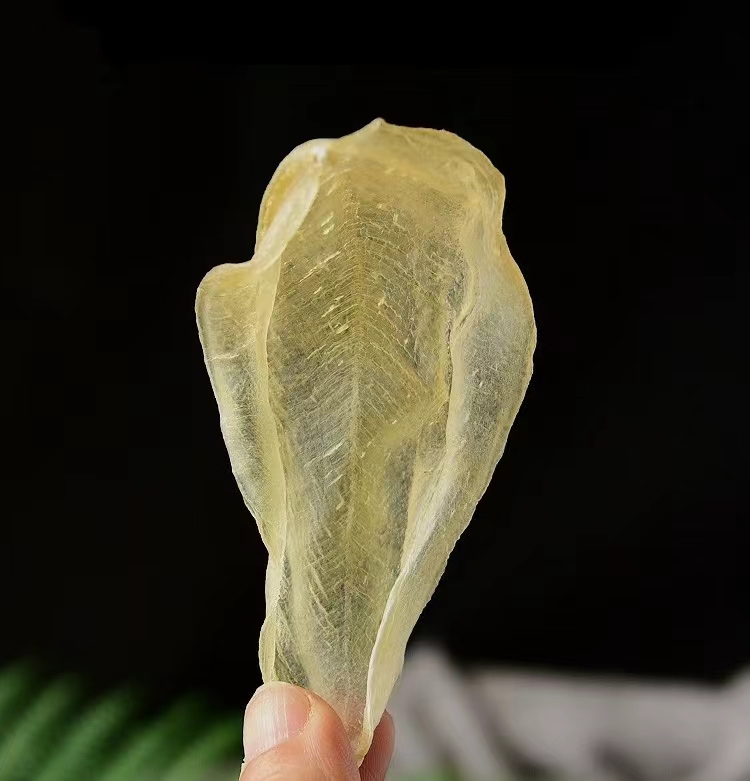 【鱼胶花胶】 （通用链接）重量规格以直播间为准