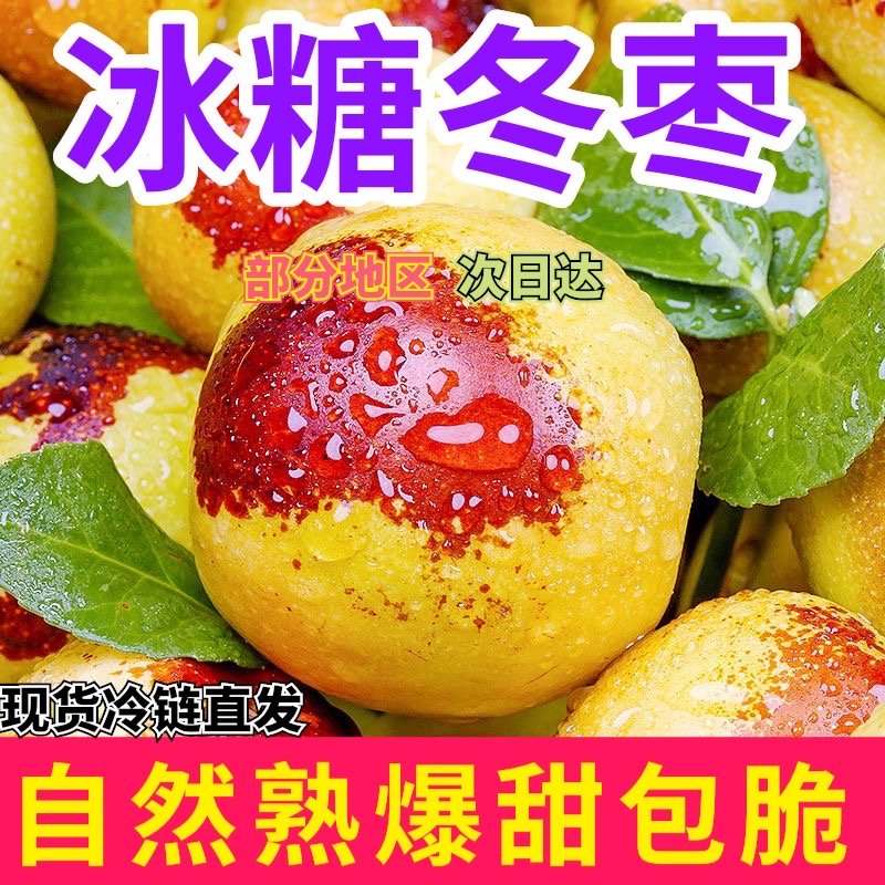 【王中王果霸王】山东正宗沾化甜冬枣现摘甜整箱包邮非大荔冰糖冬枣