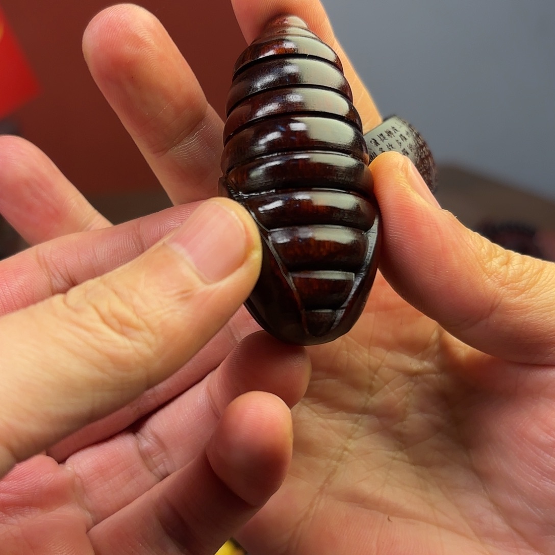 檀香紫檀（小叶紫檀）蛹