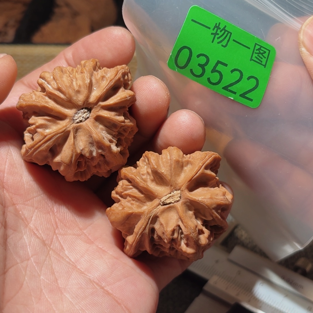 文玩核桃把件佛肚