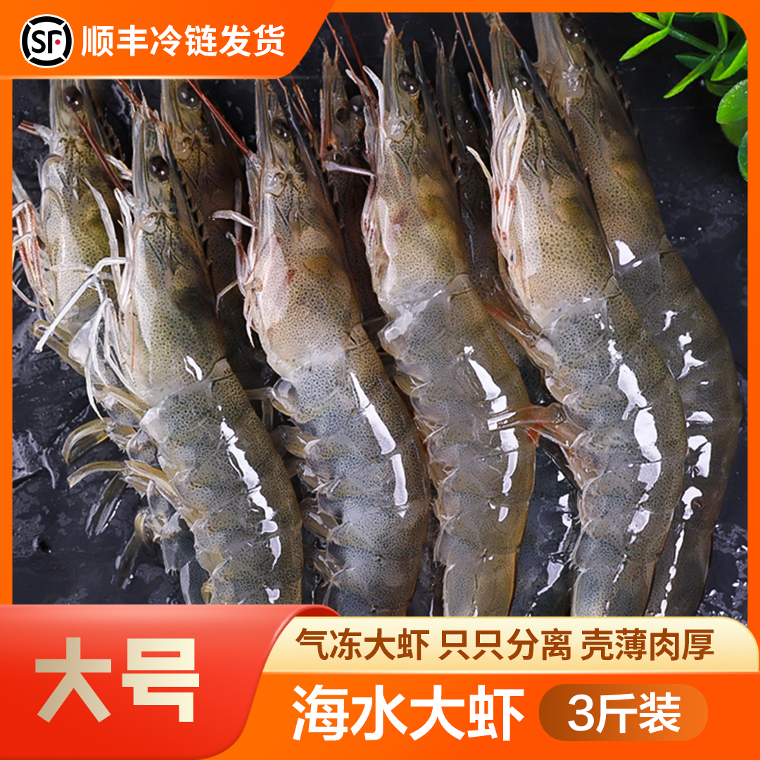 青岛海虾15-18厘米左右大大号气冻海虾40-50只左右1500G含包装