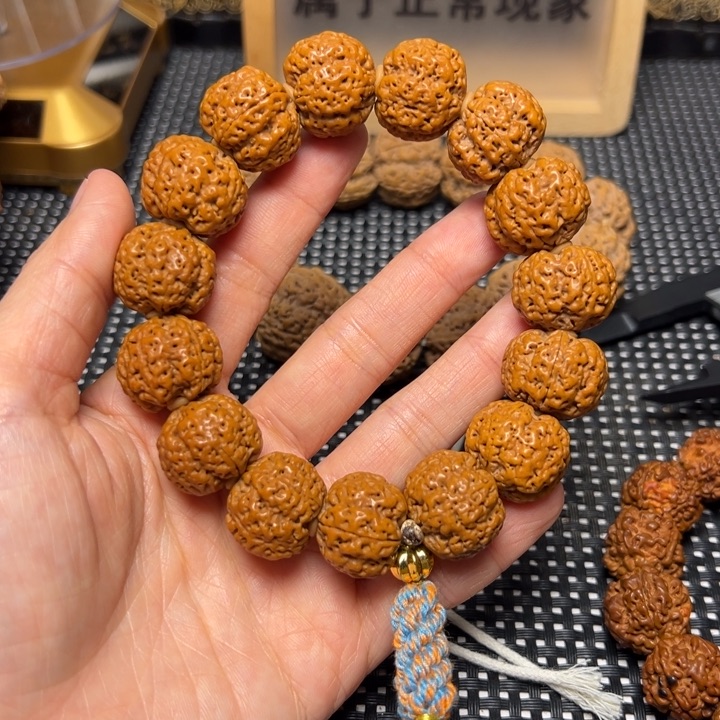 金刚菩提手串19古龙