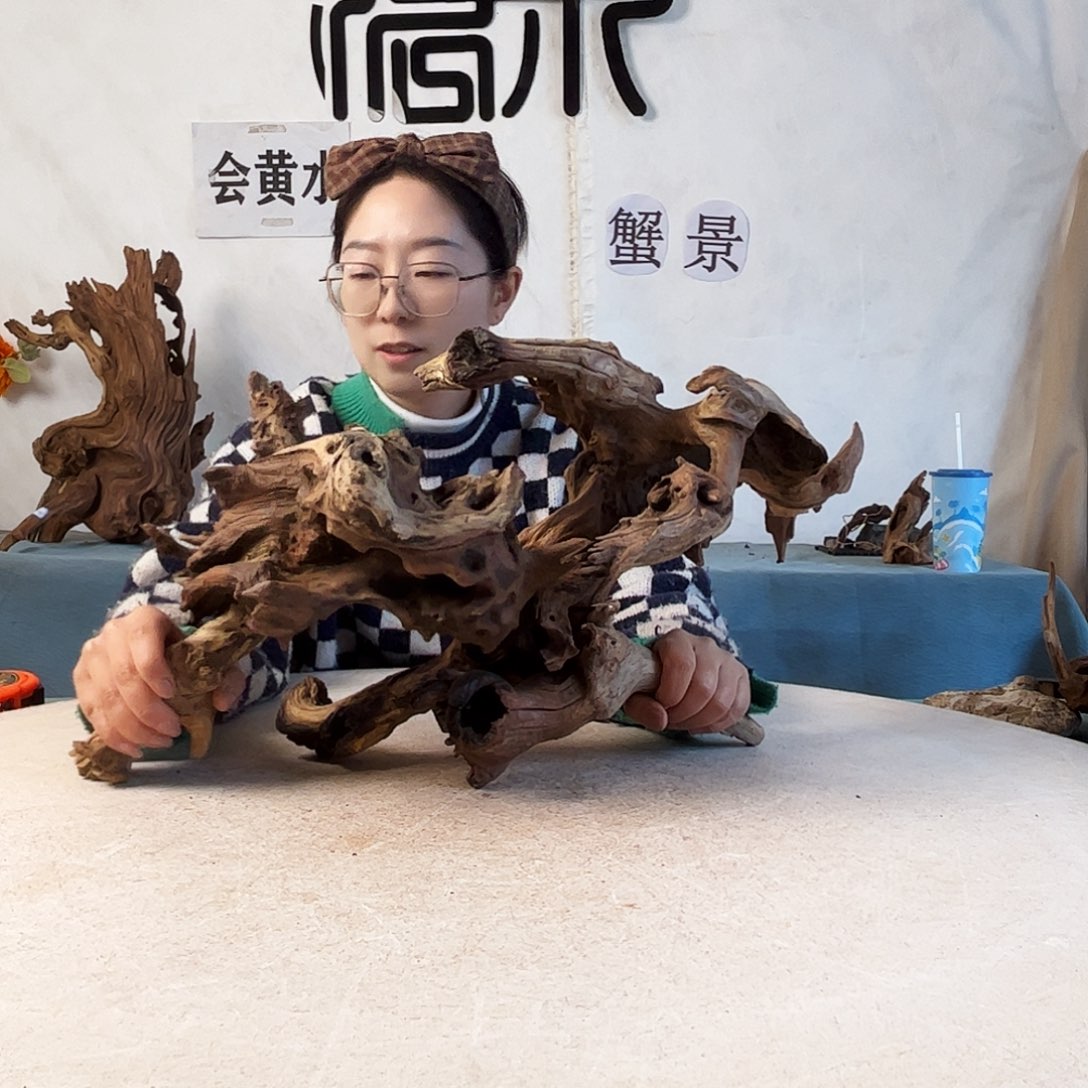 周末福利沉木造景