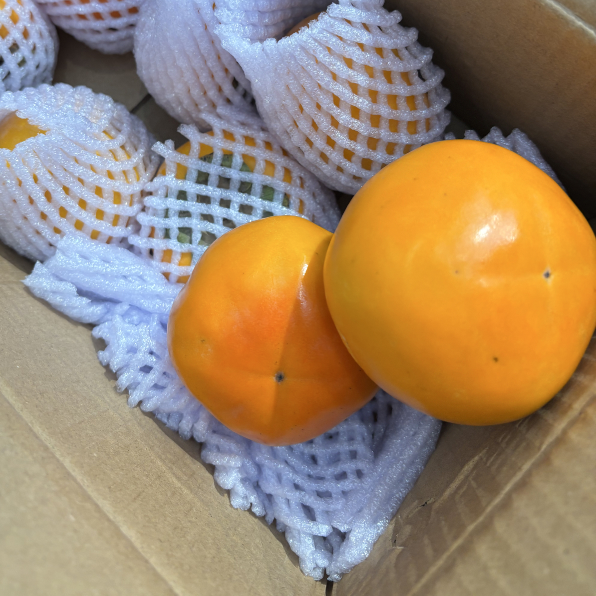 巧克力脆柿子三斤半