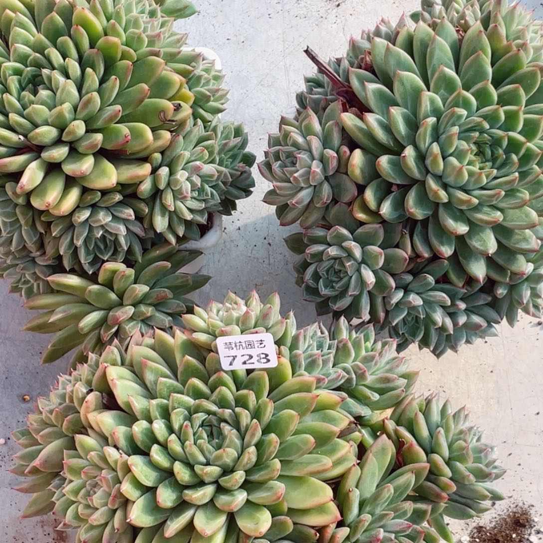 小***y728莪们小时候都很喜欢看