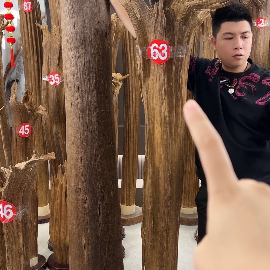 贝***坡沉香沉香碎屑天然沉香