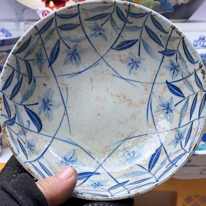 瓷片这个充满生机又神秘美丽色彩之