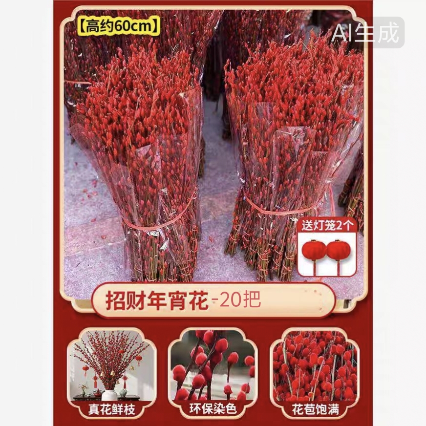 招财银柳（到店自取）