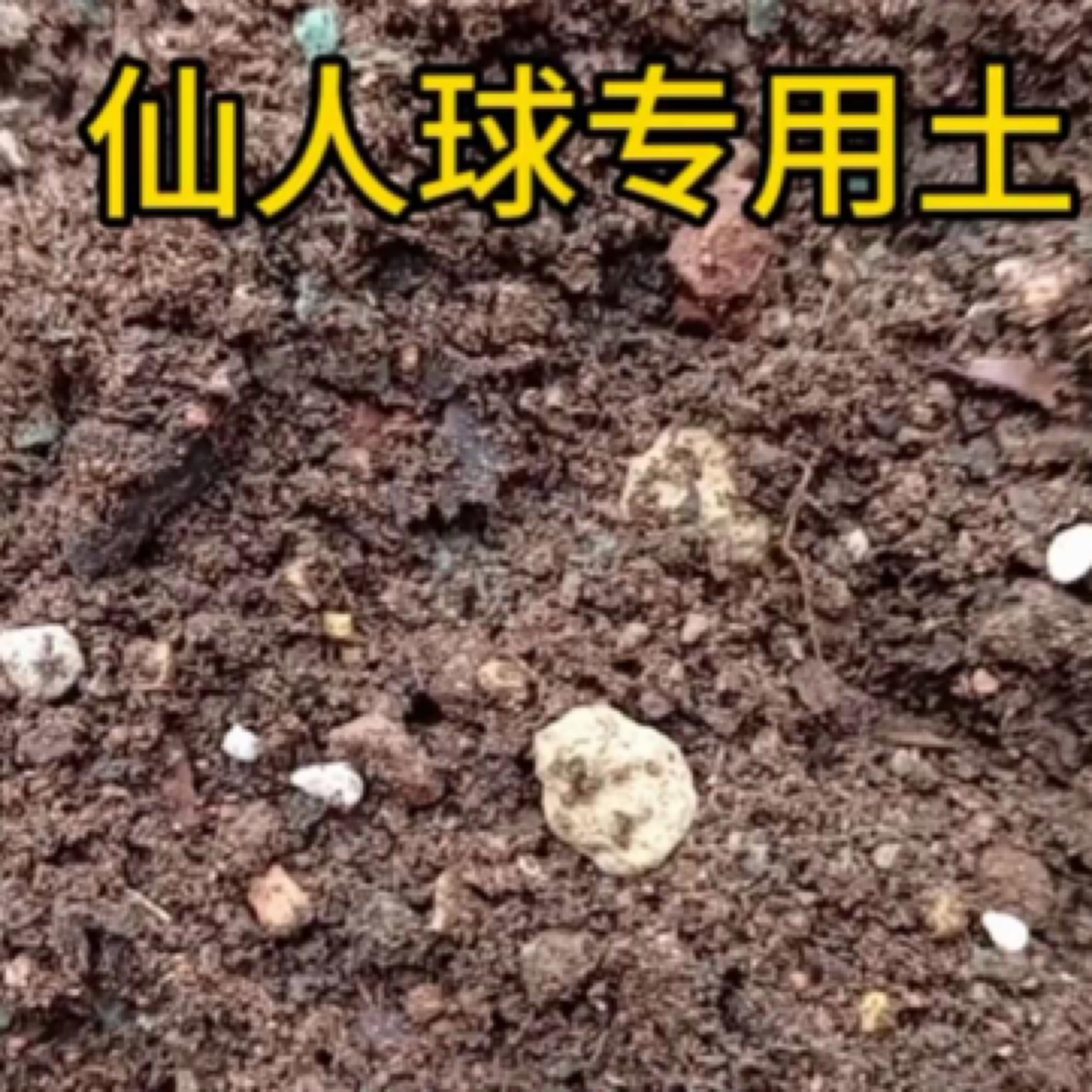 仙人球专用土松散透气底肥