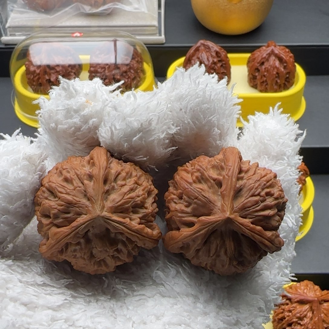 文玩核桃把件水龙纹奔42