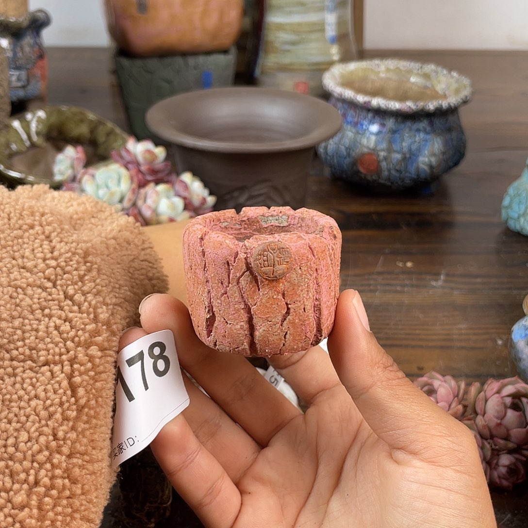 默认微次 跨年福利 坛子姐花盆