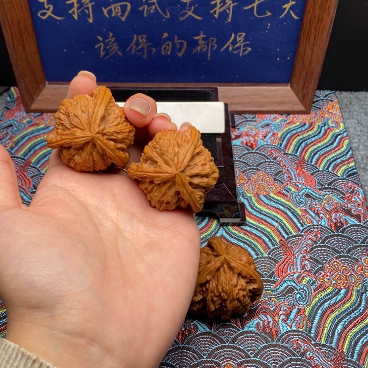 【闪购商品】y****u白狮