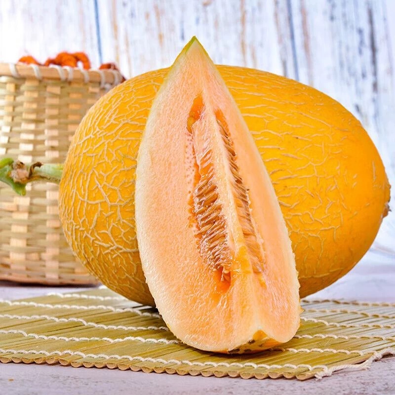 【尝鲜次日达】新鲜采摘脆甜可口北海一号现拍现发顺丰，京东快递包邮-1