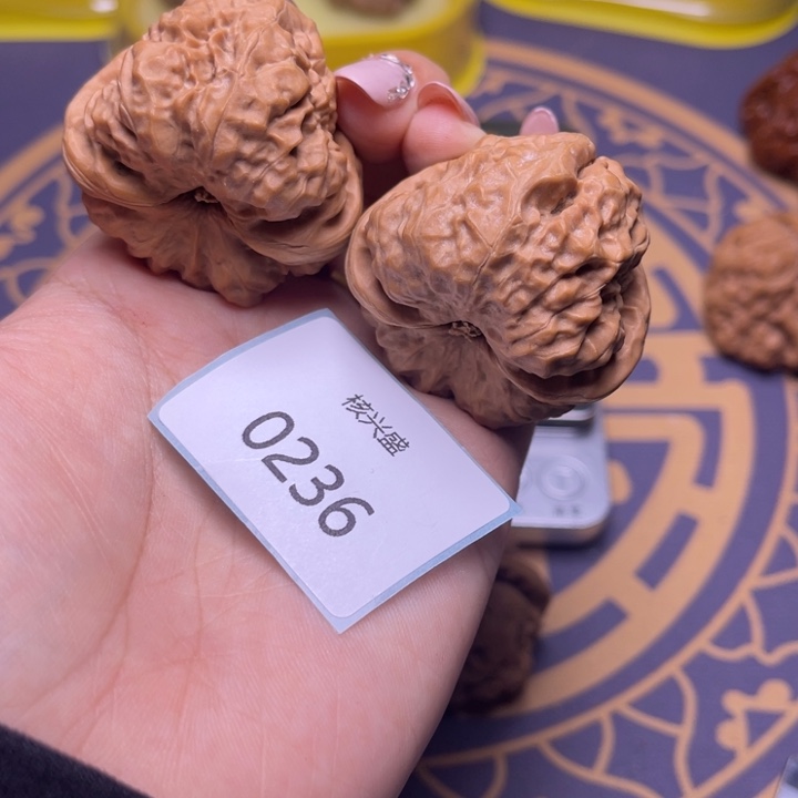 文玩核桃把件蛤蟆43.0236