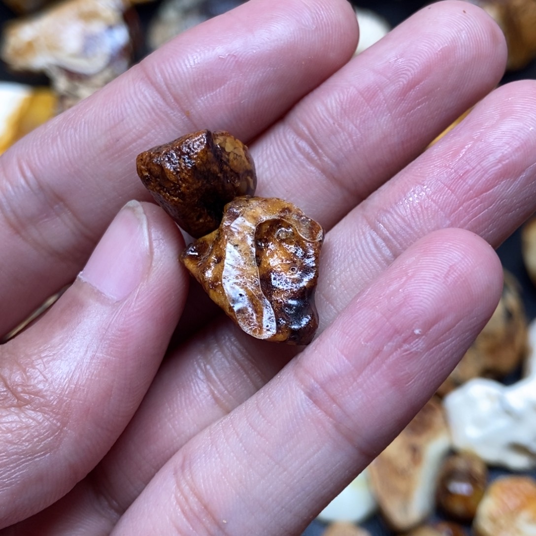 绘***生定制琥珀未镶嵌定制