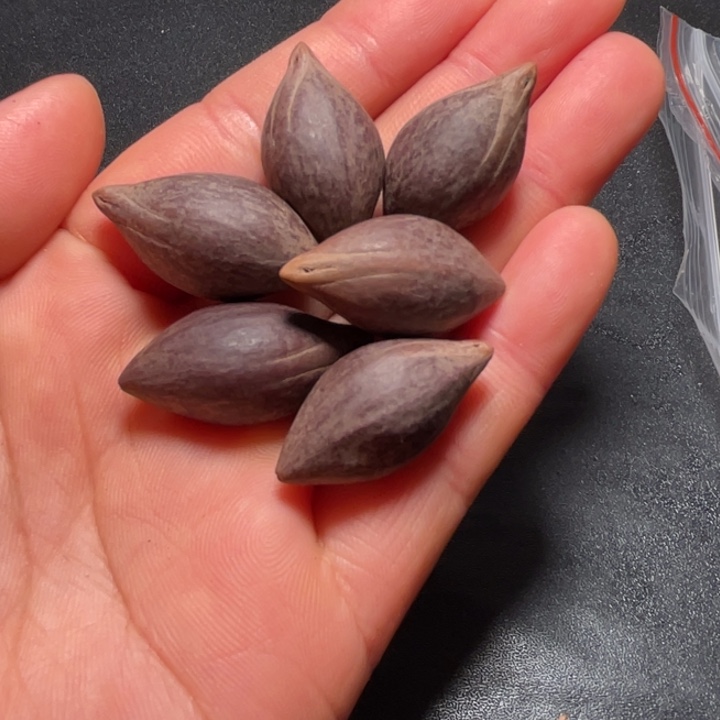 Y***.手串/手链猪牙我是