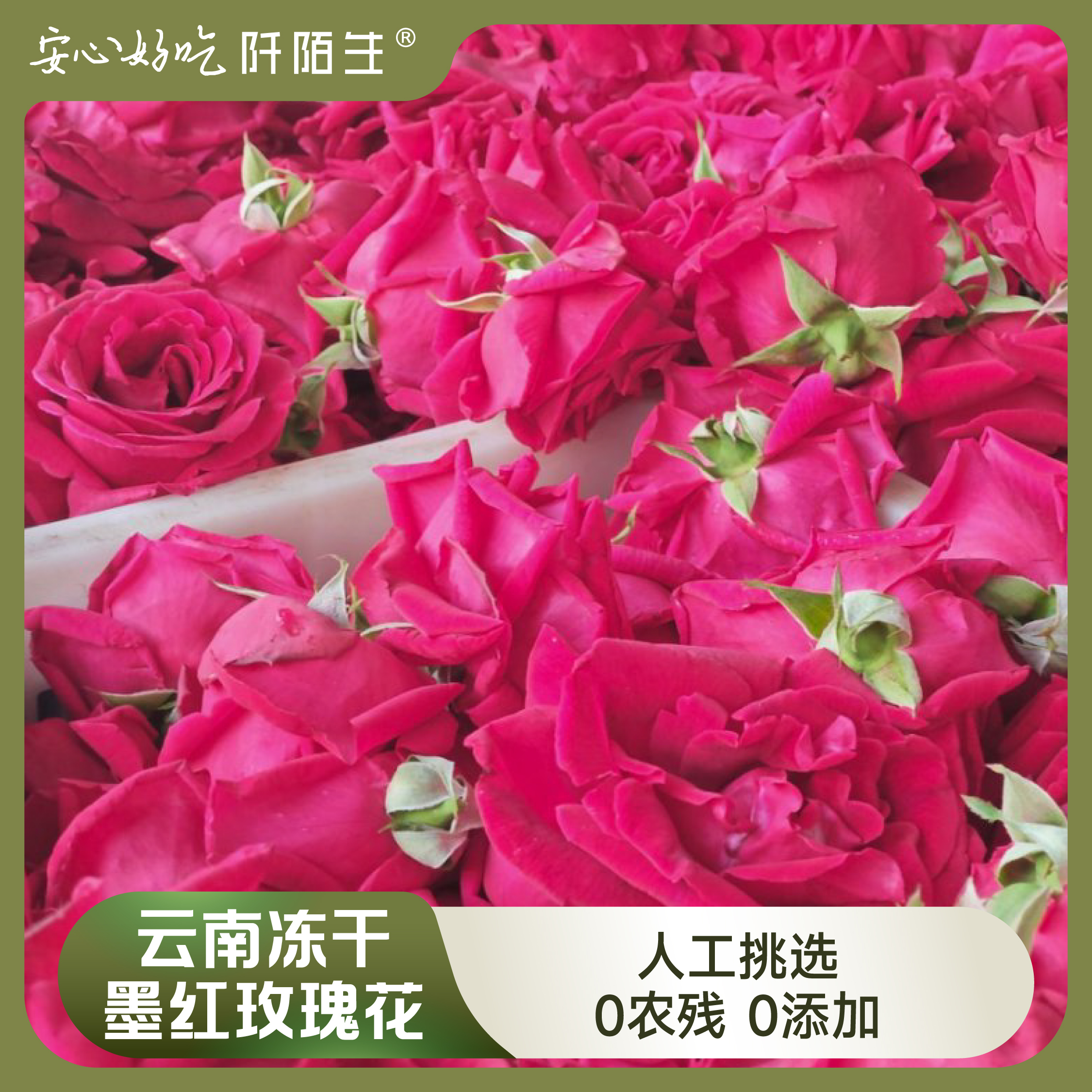 阡陌生严选｜云南冻干墨红精选玫瑰花