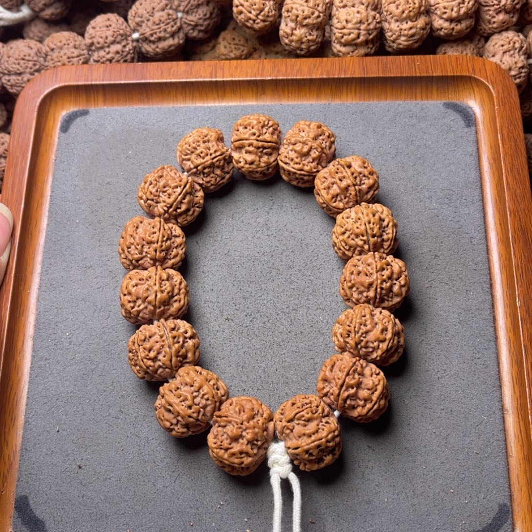 菩提籽类10号金刚菩提原生态六瓣22