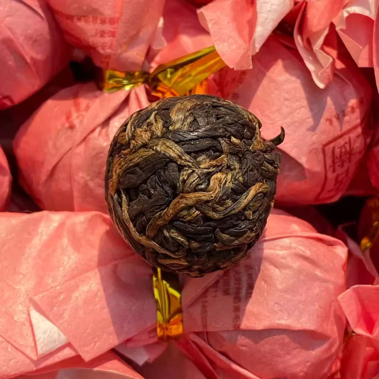 野生红茶【古树茶龙珠】!2023年春茶原料！