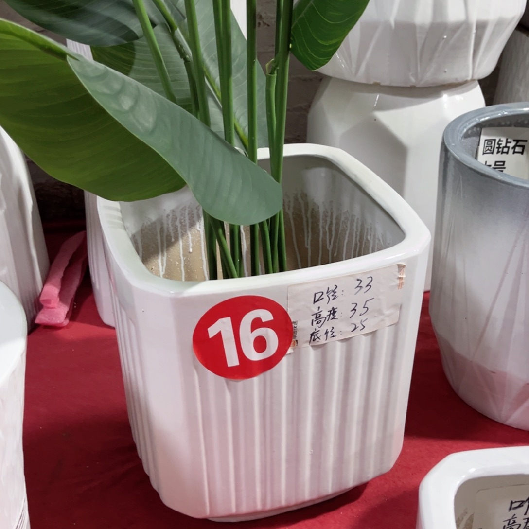 陶瓷16号特大号正常品