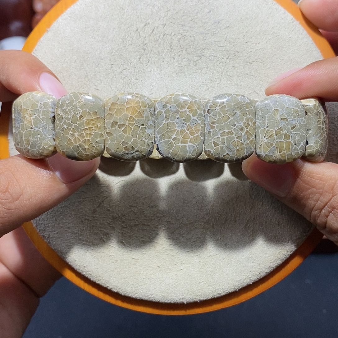 硅化珊瑚（珊瑚玉）手串未镶嵌绿色万花筒5